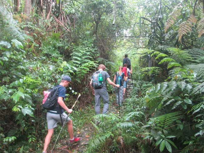 Jungle Trekking Mount Salak Rainforest