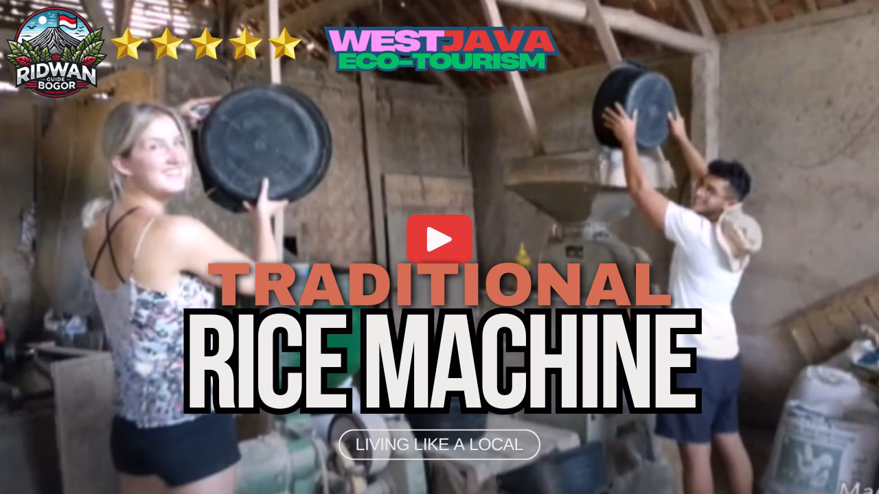 Traditional Rice Machine Processing Tour Video