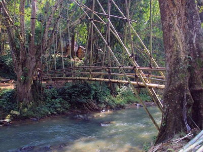 Bamboo Bridge