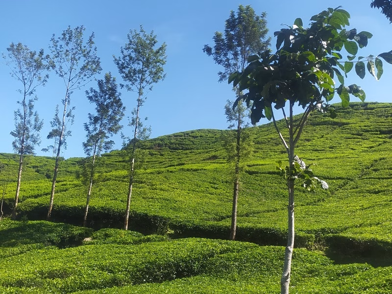 Puncak Mountain Panorama