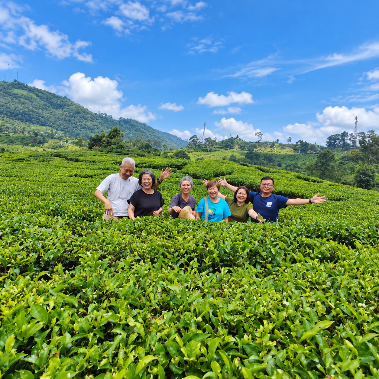Guided Tour in Indonesia