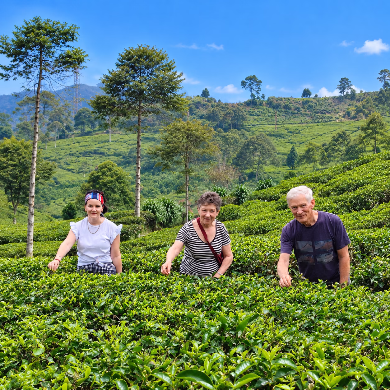Private Tour Experience in West Java