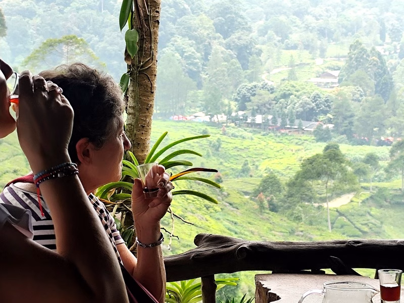 Local Tea Tasting Puncak